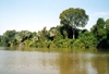 From the About The Gambia archive.